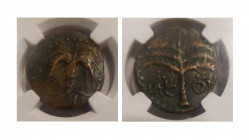 Judaea, Bar Kochba Revolt, 132-135 Jerusalem Middle bronze 133-134, Æ 24.00 mm., 11.14 g.
 Grape leaf on vine. Rev. Palm tree with two bunches of dat...