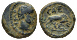 Judaea, Aelia Capitolina (Jerusalem) Antoninus Pius, 138-161 Bronze circa 138-161, Æ 12.50 mm., 2.09 g.
Laureate head r. Rev. CAE She-wolf standing o...
