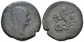 Egypt, Alexandria Domitian, 81-96 Diobol circa 92-93 (year 12), Æ 23.00 mm., 7.70 g.
Laureate head r. Rev. Agathadaemon serpent erect r., with corn-e...