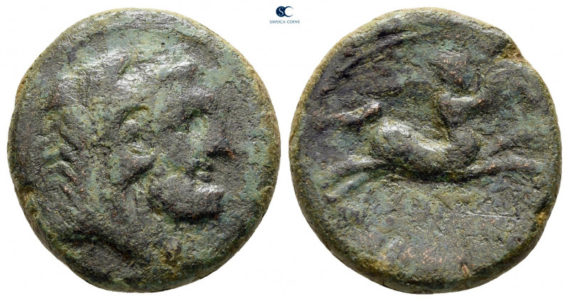 Frentani. Larinum circa 210-175 BC. 
Teruncius Ae

19 mm, 6,07 g



very ...