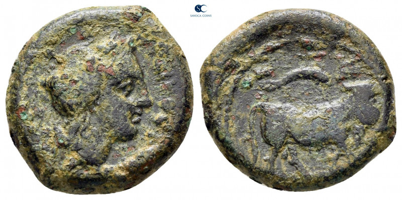 Campania. Neapolis circa 270-240 BC. 
Bronze Æ

16 mm, 3,93 g



nearly v...