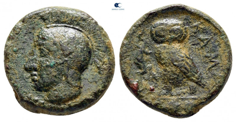 Sicily. Kamarina circa 420-405 BC. 
Tetras Æ

13 mm, 3,18 g



very fine