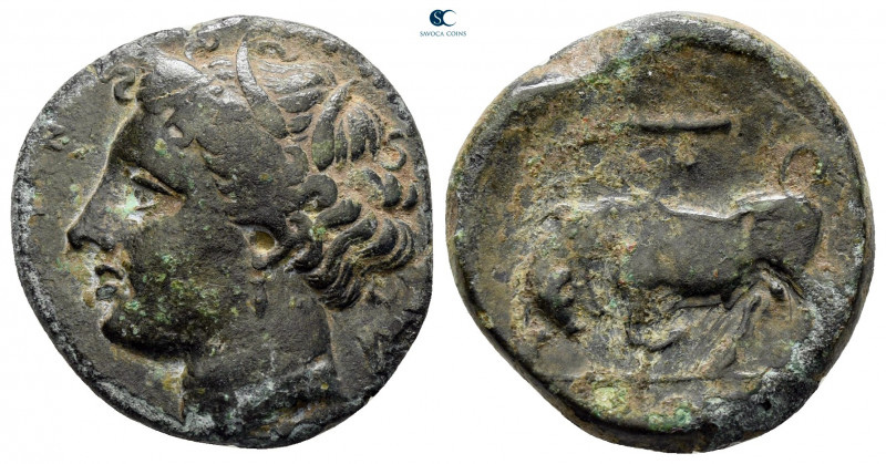 Sicily. Syracuse. Hieron II 275-215 BC. 
Bronze Æ

18 mm, 4,84 g



very ...