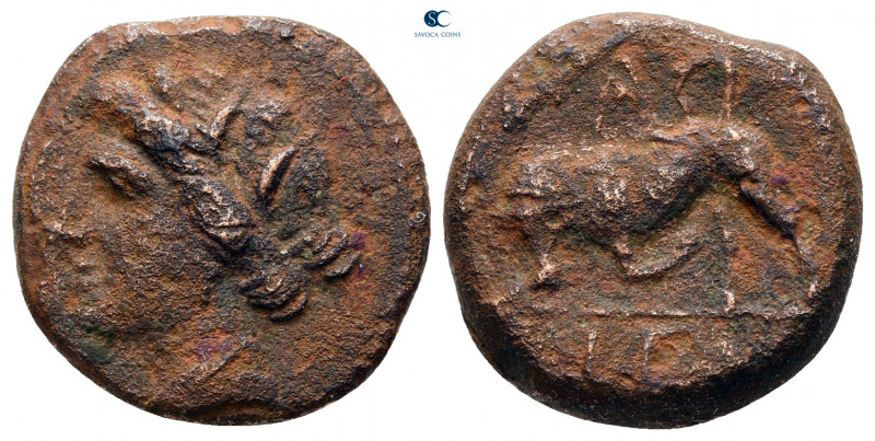 Sicily. Syracuse. Hieron II 275-215 BC. 
Bronze Æ

15 mm, 4,22 g



nearl...