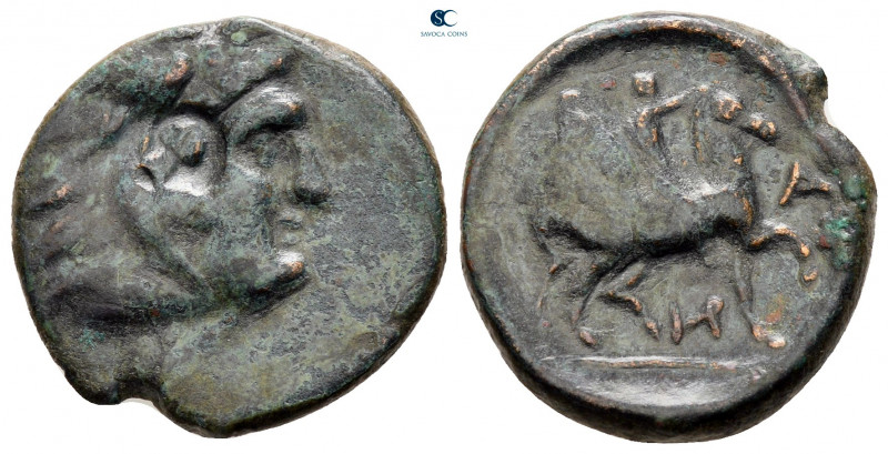 Macedon. Uncertain mint. Antigonos II Gonatas 277-239 BC. 
Bronze Æ

18 mm, 3...