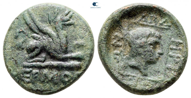 Thrace. Abdera circa 311-280 BC. 
Bronze Æ

13 mm, 3,04 g



nearly very ...