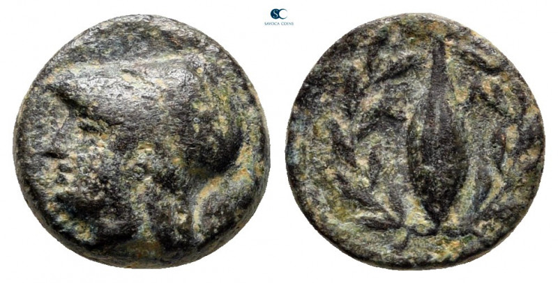 Aiolis. Elaia circa 350-300 BC. 
Bronze Æ

10 mm, 1,26 g



very fine