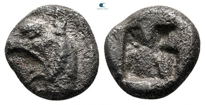 Ionia. Phokaia circa 521-478 BC. 
Diobol AR

9 mm, 1,37 g



nearly very ...