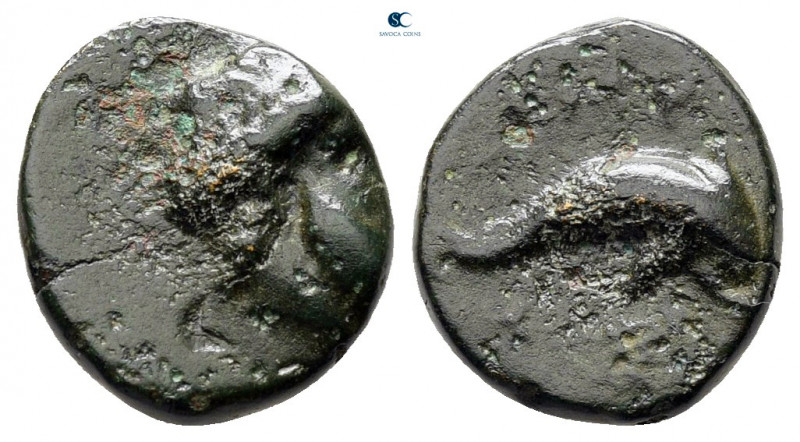 Caria. Myndos circa 350-300 BC. 
Bronze Æ

8 mm, 1,19 g



nearly very fi...