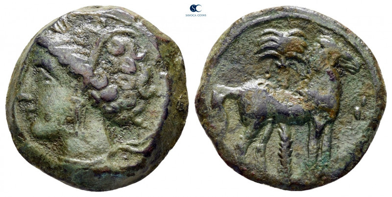 Zeugitana. Carthage circa 350 BC. 
Bronze Æ

15 mm, 3,44 g



good very f...