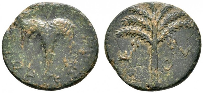 Griechische Münzen 
 Iudaea 
 Bar Kokhba Krieg. Bronzemünze (AE-24 mm) 133/134...