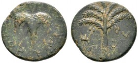 Griechische Münzen 
 Iudaea 
 Bar Kokhba Krieg. Bronzemünze (AE-24 mm) 133/134. Weinblatt &quot;Jahr 2 der Freiheit Israels&quot; / Palme &quot;Schi...