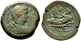 Römische Münzen 
 Kaiserzeit 
 Hadrianus 117-138 
 Großbronze (Provinzialprägung für Ägyptia) -Alexandria-. Drapierte und gepan­zerte Büste mit Lor...
