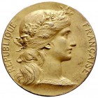 Ausländische Münzen und Medaillen 
 Frankreich-Königreich 
 Dritte Republik 
 Vergoldete, silberne Prämienmedaille o.J. von D. Dupuis, des Kriegsmi...