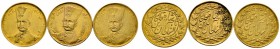 Ausländische Münzen und Medaillen 
 Iran-Kadjaren-Dynastie 
 Nasir-al-Din Shah AH 1264-1313 / AD 1848-1896 
 Lot (3 Stücke): Toman. Verschiedene Ja...