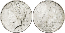 Estados Unidos. 1923. Filadelfia. 1 dólar. (Kr. 150). AG. 26,79 g. EBC.