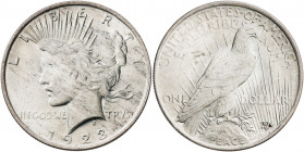Estados Unidos. 1923. Filadelfia. 1 dólar. (Kr. 150). AG. 26,63 g. EBC.