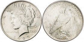 Estados Unidos. 1923. Filadelfia. 1 dólar. (Kr. 150). AG. 26,65 g. EBC+.