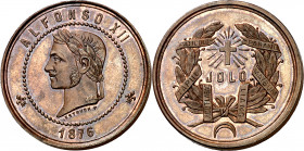 1876. Alfonso XII. Campaña de Joló. Medalla de distinción. (V. 846) (Ruiz Trapero 805) (Pérez Guerra 756). Grabador: Estruch. Bella. Bronce. 18,88 g. ...