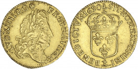 Louis XIV - 1/2 louis d'or à l'écu 1690 L (Bayonne) 
Flan réformé.

Or - 3,36 grs - 21 mm
G.239
TTB+
R

Rare ! Très bel exemplaire avec une réformatio...