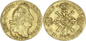 Louis XIV - Louis d'or aux 4 L 1693 O (Riom) 
Flan réformé.

Or - 6,72 grs - 24 mm
G.252
TB+
R

Assez rare. Trace de cerclage.