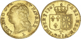 Louis XVI - Louis d'or à la tête nue 1787 T (Nantes) 
Semestre 1.

Or - 7,68 grs - 23 mm
G.361
TTB à SUP

Très bel exemplaire. 3 petites rayures au re...