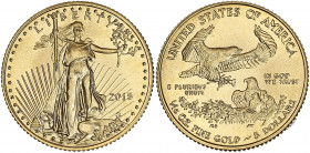 USA - 5 dollars (1/10 once) Liberty 2015 

Or (917/1000) - 3,40 grs - 16,5 mm
KM21-216
SPL à FDC