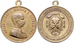 CVIKOV (ZWICKAU), ČESKÉ BUDĚJOVICE (BUDWEIS), DEČÍN (TETSCHEN)&nbsp;
AE medaile 100. výročí Měšťanské střelecké společnosti Cvikov (Zwickau), 1893, 1...
