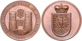 ŠUMPERK (MÄHRISCH SCHÖNBERG)&nbsp;
AE medaile I. Moravská zemská střelba Šumperk (Mährisch Schönberg), 1881, 18,59g, jediný kus na trhu!. 33 mm, měď,...