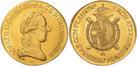 JOSEPH II (1765 - 1790)&nbsp;
1/2 Sovrano, 1787, 5,59g, A. Her 102&nbsp;

about UNC | about UNC