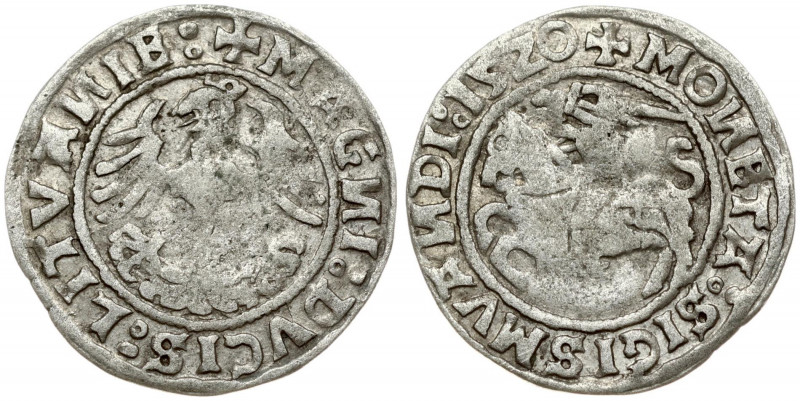 Lithuania 1/2 Grosz 1520 Vilnius. Sigismund I the Old (1506-1548). Obverse Lette...