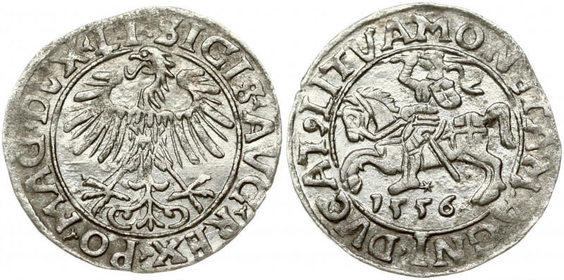 Lithuania 1/2 Grosz 1556 Vilnius. Sigismund II Augustus (1545-1572). Obverse Let...