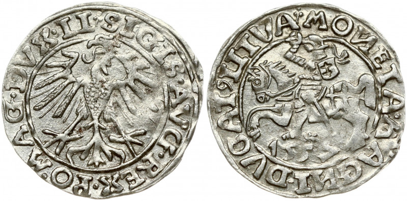 Lithuania 1/2 Grosz 1557 Vilnius. Sigismund II Augustus (1545-1572). Obverse Let...