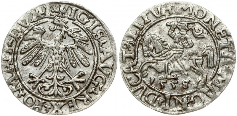 Lithuania 1/2 Grosz 1558/55 Vilnius. Sigismund II Augustus (1545-1572). Obverse ...