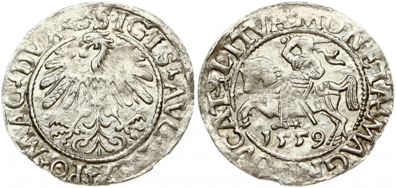 Lithuania 1/2 Grosz 1559 Vilnius. Sigismund II Augustus (1545-1572). Obverse Let...