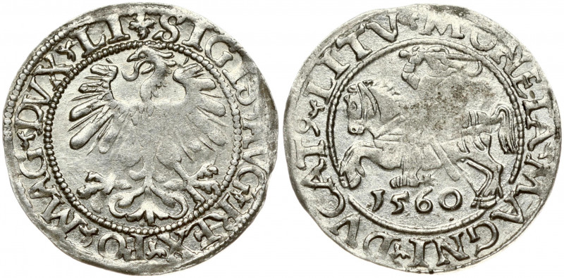 Lithuania 1/2 Grosz 1560 Vilnius. Sigismund II Augustus (1545-1572). Obverse Let...