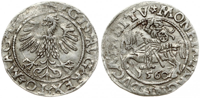 Lithuania 1/2 Grosz 1560 Vilnius. Sigismund II Augustus (1545-1572). Obverse Let...