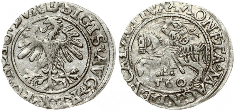 Lithuania 1/2 Grosz 1560 Vilnius. Sigismund II Augustus (1545-1572). Obverse Let...