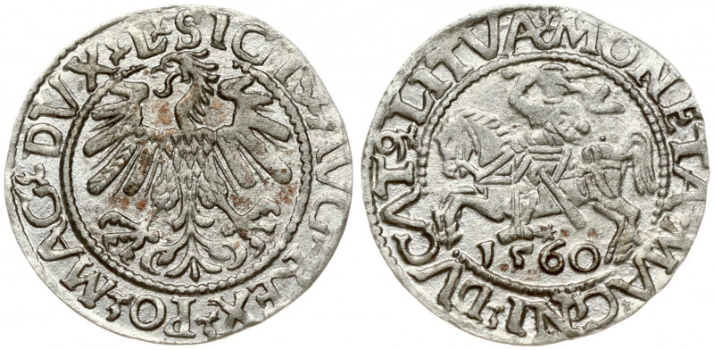 Lithuania 1/2 Grosz 1560 Vilnius. Sigismund II Augustus (1545-1572). Obverse Let...