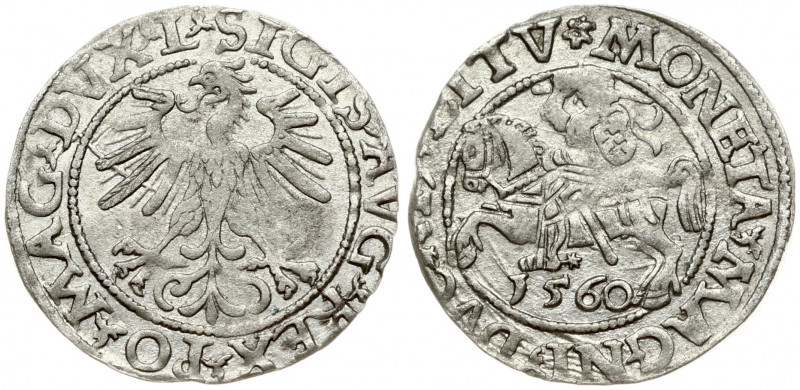 Lithuania 1/2 Grosz 1560 Vilnius. Sigismund II Augustus (1545-1572). Obverse Let...