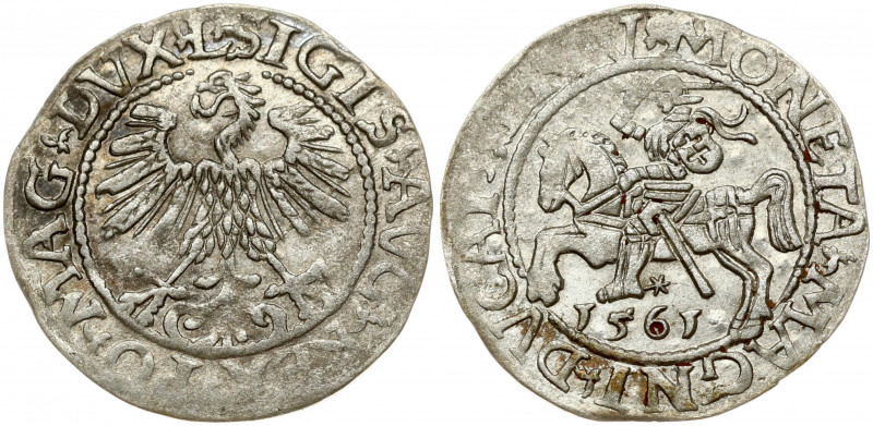 Lithuania 1/2 Grosz 1561 Vilnius. Sigismund II Augustus (1545-1572). Obverse Let...