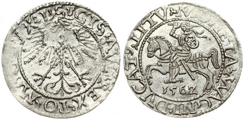 Lithuania 1/2 Grosz 1562 Vilnius. Sigismund II Augustus (1545-1572). Obverse Let...