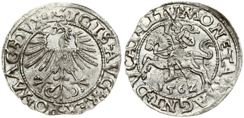 Lithuania 1/2 Grosz 1562 Vilnius. Sigismund II Augustus (1545-1572). Obverse Let...