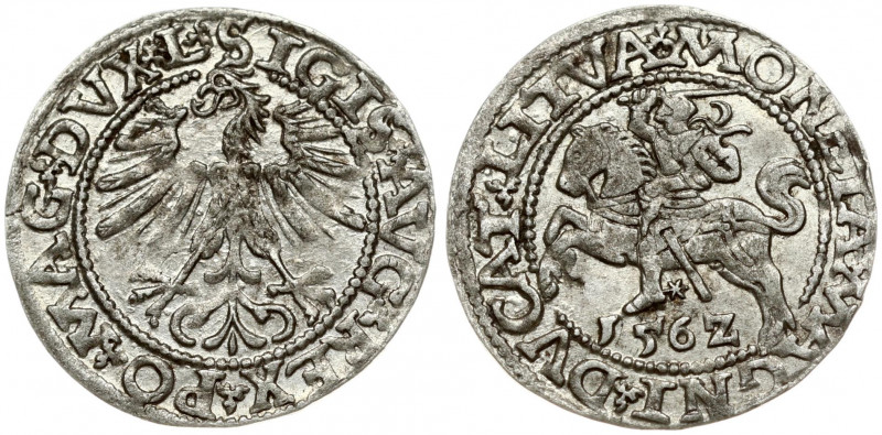 Lithuania 1/2 Grosz 1562 Vilnius. Sigismund II Augustus (1545-1572). Obverse Let...