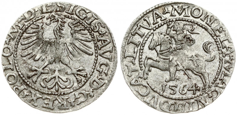 Lithuania 1/2 Grosz 1564 Vilnius. Sigismund II Augustus (1545-1572). Obverse Let...