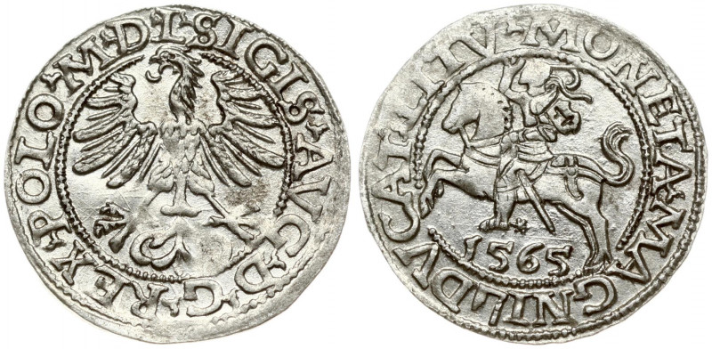 Lithuania 1/2 Grosz 1565 Vilnius. Sigismund II Augustus (1545-1572). Obverse Let...