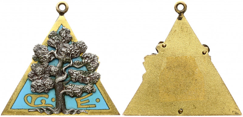 Great Britain Award Masonic Lodge 'Green Oak' (1903). Silver. Bronze Gilding. We...
