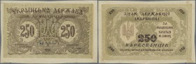 Ukraina: 250 Karbovanez 1918 P. 39a miscut borders, handling and dints in paper, condition: VF.