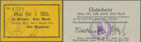 Deutschland - Notgeld - Ehemalige Ostgebiete: Westpreußen, Notgeld von 1914, 28 Scheine aus Bischofswerder, Briesen, Elbing, Löbau, Neumark, Riesenbur...