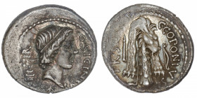 RÉPUBLIQUE ROMAINE
Sicinia, Quintus Sicinius et C. Coponius. Denier ND (49 av. J.-C.), Rome.
RRC.444/1 ; Argent - 3,85 g - 3 h 
Légèrement décentré...